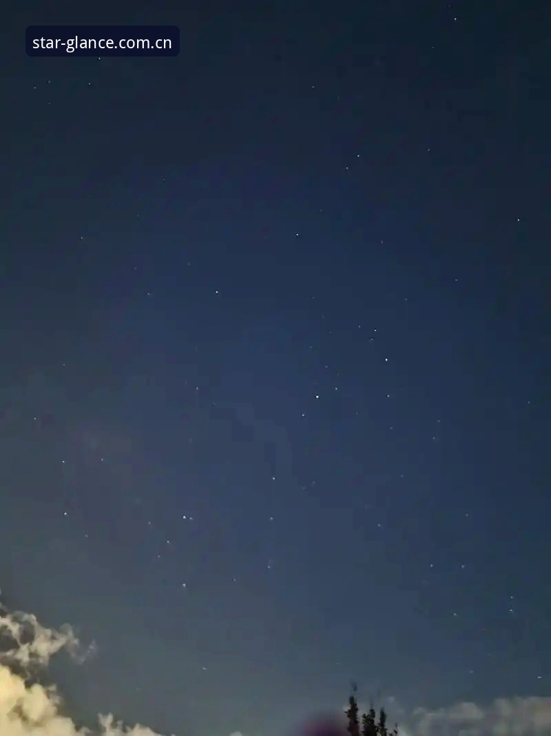 不看会后悔的仰望即见新版首页攻略：星空娱乐平台5分钟上手实用技巧